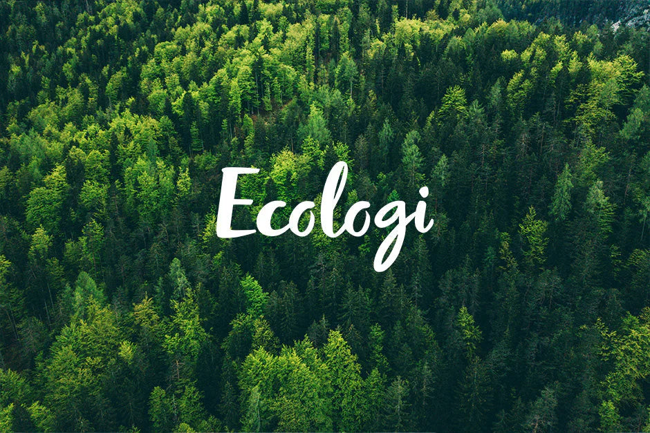 Jeder Einkauf bei uns bedeutet mehr grüne Bäume für unseren Planeten!